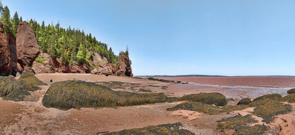 Best Campgrounds in Bay of Fundy