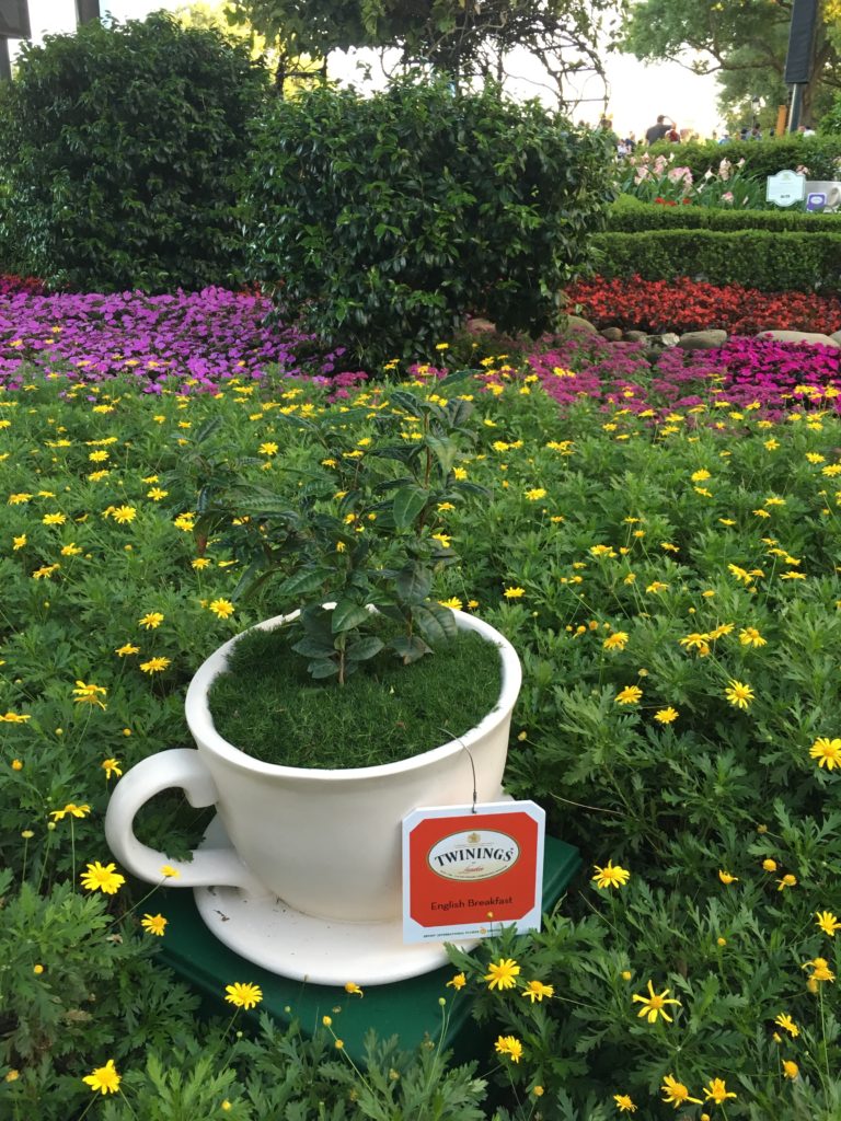 teacup gardens Epcot's Flower and Garden Festival with kids 