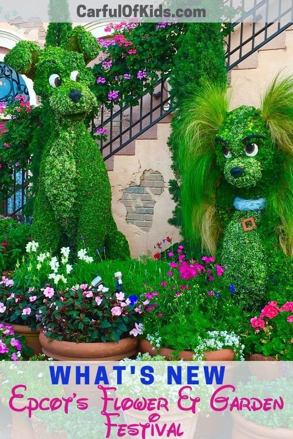 Explore Epcot during the International Flower and Garden Festival for the cutest topiaries like The Lady and The Tramp. Get all the 2020 details like where to find the topiaries to plan your trip to Walt Disney World in Orlando, Florida. #WDW #Disney #FlowerandGarden Where are the topiaries in Epcot | What to do at Epcot's Flower and Garden Festival 