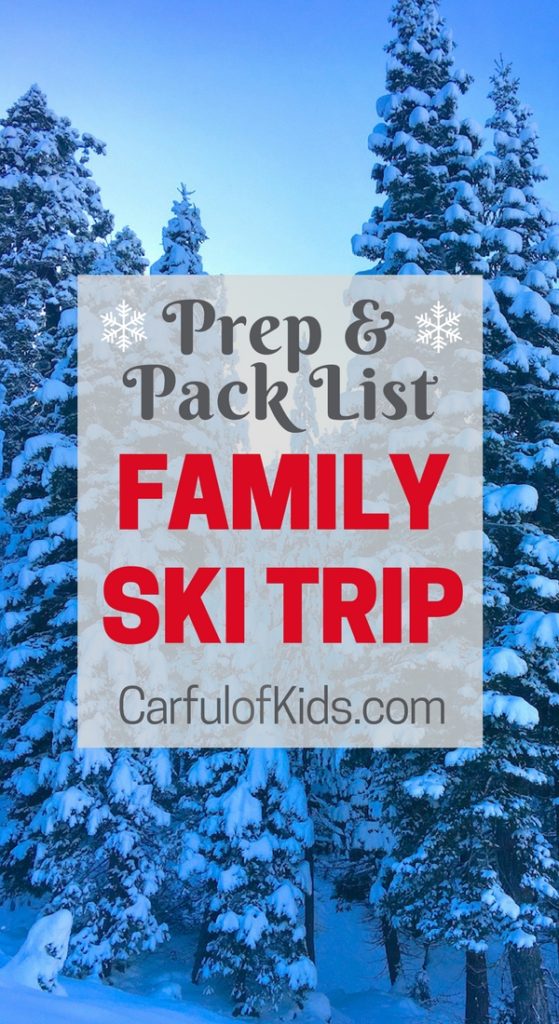 family ski bag