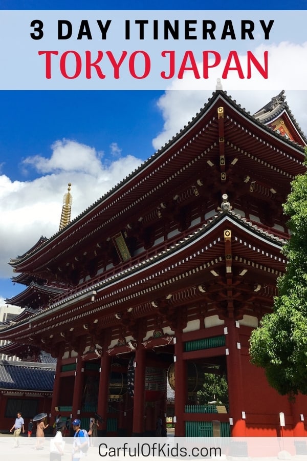 Tokyo offers a delightful mix of the arts, traditional Japanese culture and in the moment pop culture. Get a sampling of all while exploring the largest city in the world via the Tokyo Metro. #Tokyo #itinerary #Japan