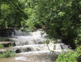 Lockhart State Park