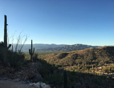 Get a Dose of the Desert: 19 Top Things to Do in Tucson Arizona