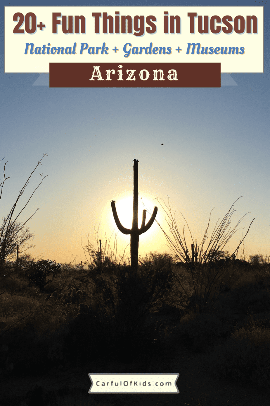 Top 19 Fun Things to Do in Tuscon Arizona | Carful of Kids Travel
