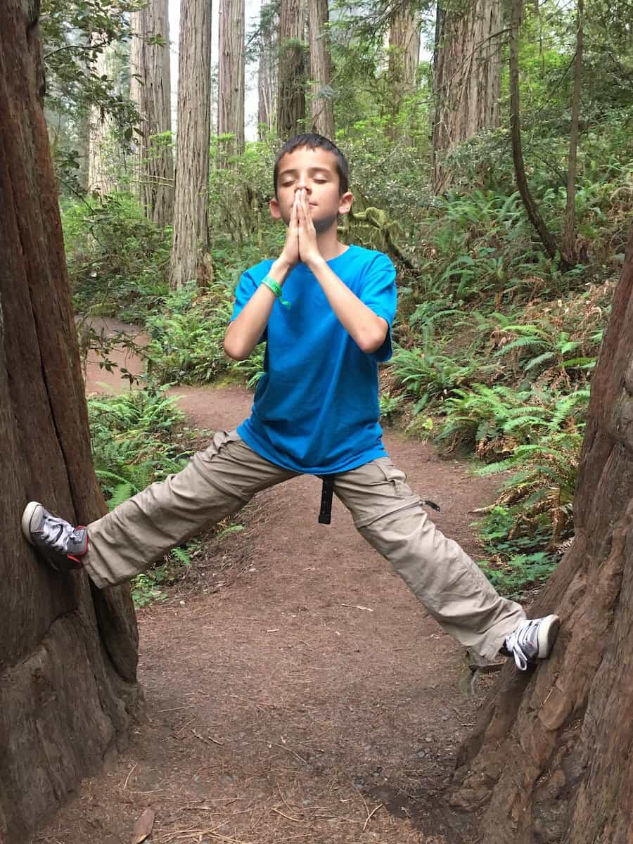 Channeling our inner peace in Redwood Park